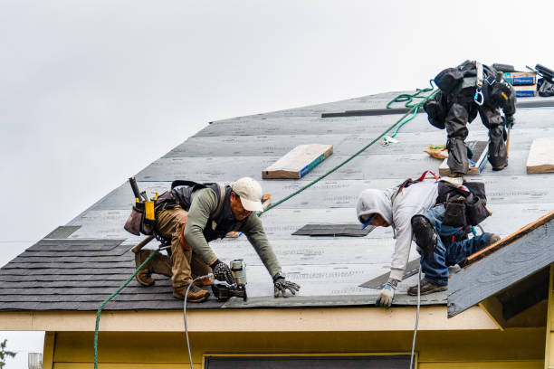 Professional Gutter Installation technician working in Boykins, VA